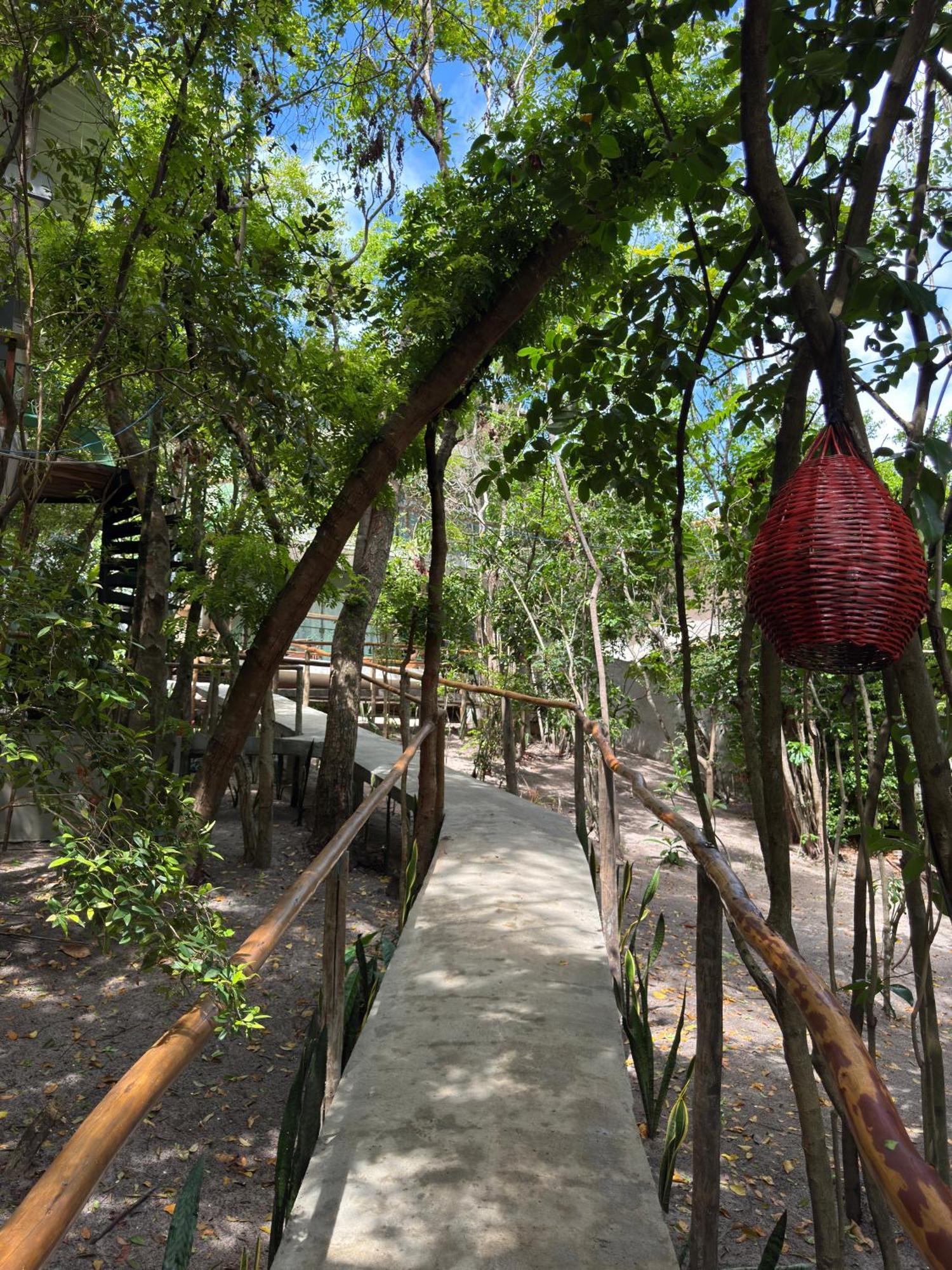 Vila Ninhos Da Pipa Praia de Pipa Exteriér fotografie